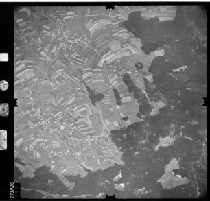 Luftbild: Film 81 Bildnr. 443