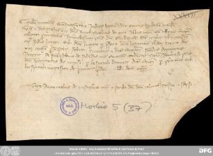 [Halle (Saale), Universitäts- und Landesbibliothek Sachsen-Anhalt, Morbio 5 (37)]
