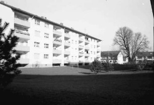 Freiburg; Haslach: Wohnblock mit Grüngelände; Mathias-Blank-Straße; Hintergrund alter Baum