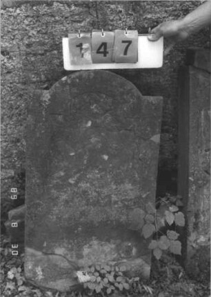 Grabstein 147 (Index: 99609783) Material: Sandstein Zustand: verwittert, gerissen, abblätternd, völliger Textverlust Maße HxBxT: 96x48x10 cm Beschreibung: Stele, eingezogener Segmentbogenabschluß, Schriftfeld eingetieft: Grabstein 147