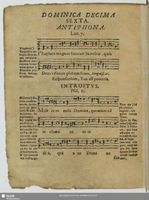 Dominica decimasexta post trinitatis