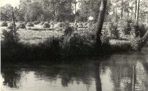 Heuernte in Burg : Synowe žně w Bórkowach