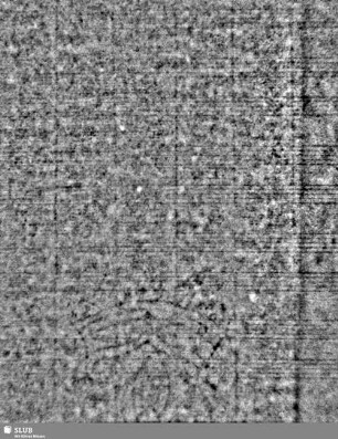 Lilienschild / Buchstaben IESV = S.7/8