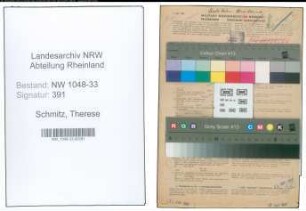 Entnazifizierung Therese Schmitz , geb. 22.01.1915 (Verkaeuferin)