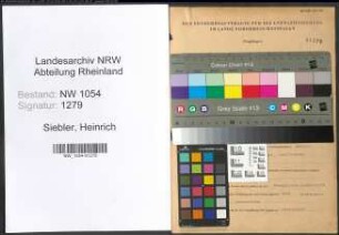 Entnazifizierung Heinrich Siebler , geb. 30.04.1885 (Zollinspektor)