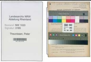 Entnazifizierung Peter Theunissen , geb. 07.05.1894 (Fabrikant)