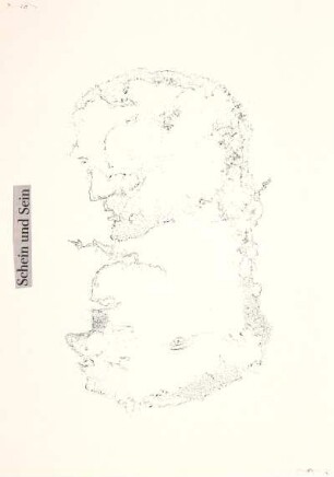 SCHEIN UND SEIN