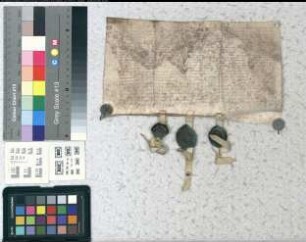 Alhard von Quernheim, Domherr zu Paderborn, versetzt dem Domkapitel zu Paderborn für 50 rheinische Goldgulden eine Rente von 2 1/2 Goldgulden aus dem Mühlenpfennig und Brotkorn seiner Präbende. Bürgen und Testamentsexekutoren: Melchior von Plettenberg und Wilhelm Schilder, Domherren zu Paderborn. Siegelankündigung des Ausstellers und der Bürgen. Datum: in profestor Michaelis archangeli.