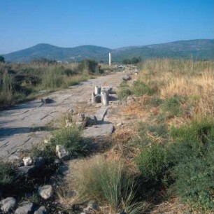 Samos. Hera-Tempel. Heraion. Die neu freigelegte Heilige Straße östlich vom Hera-Tempel