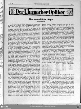 Das menschliche Auge