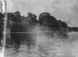 Insel Iwawa : Die Küste der Insel Iwawa im Lake Kivu