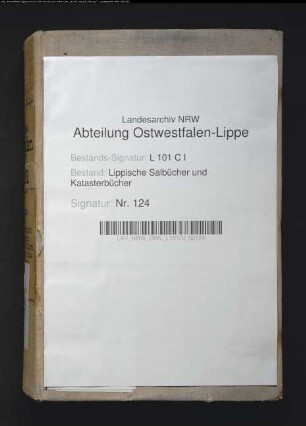 Salbuch der Vogtei Heiden von 1829, Bd. 2 (Duplikat)