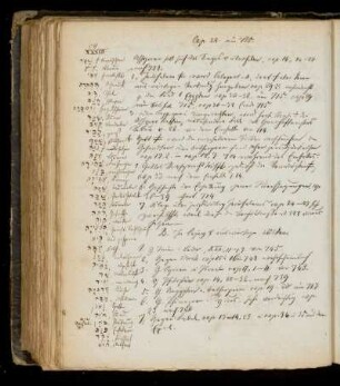 Cap. 28-32