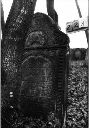 Grabstein 221 (Index: 99752113) Material: Sandstein Zustand: abgeblätt/verwittert mit Textverlust Maße HxBxT: 140x80x13 cm Beschreibung: Stele, in Voluten auslaufender Rundbogenaufsatz, ovales Schriftfeld eingetieft Symbolik: segnende Hände, Ranken, Kartusche, Voluten: Grabstein 221