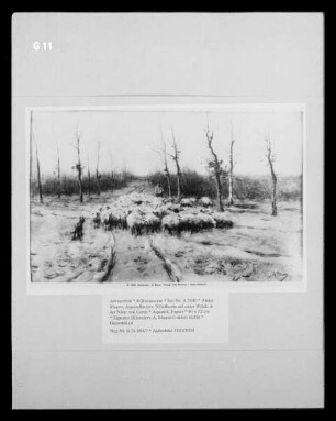 Schafherde auf einer Weide in der Nähe von Laren