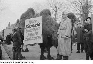 Ein Kamel mit Anzeigetafel und sein Führer beim Karnevalsfestzug