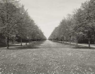 Dresden-Altstadt. Großer Garten (1683, J. F. Karcher; 1873-1895, K. F. Bouché). Herkulesallee