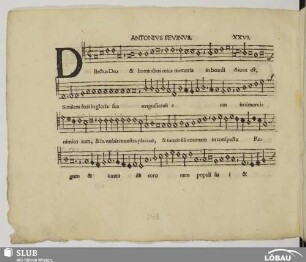 XXVI. Févin, Antoine de: Dilectus deo et hominibus