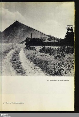 56 Abraumhalde bei Klostermansfeld