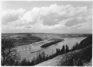 Mainschleife bei Hochwasser