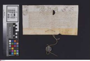 Wimpfen: Papst Innozenz XI. gewährt Dekan und Kapitel des Stifts Wimpfen [einen Ablaß?]