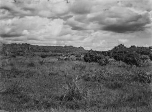 Savanne : Vegetation einer Savannenlandschaft in Tansania. In der Bildmitte Granitkopje (Inselberg)