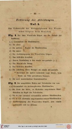 Erklärung der Abbildungen