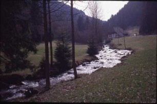 Die Elz im Elztal