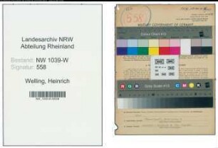 Entnazifizierung Heinrich Welling , geb. 08.04.1915 (Bahninspektor)