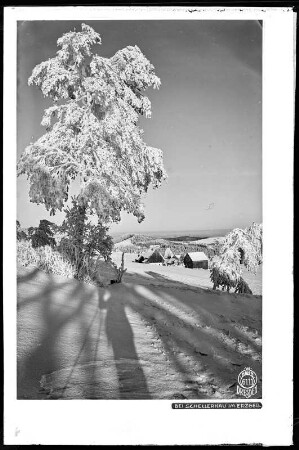 Schellerhau im Erzgebirge mit Schnee