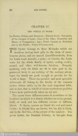 Chapter IV. The oyster at home