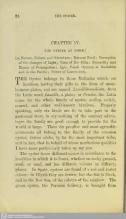 Chapter IV. The oyster at home