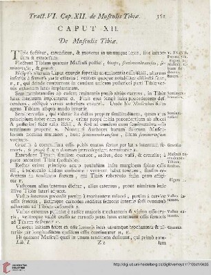 Caput XII: De Musculis Tibiae
