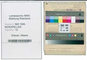 Entnazifizierung Helene Driever , geb. 22.02.1910 (Kauffrau)