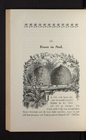 IX. Bienen im Stock.