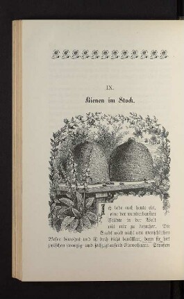 IX. Bienen im Stock.