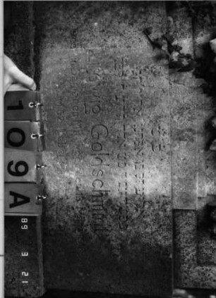 Grabstein 109 (Index: 99792658) Material: Kalkstein Zustand: leicht verwittert Maße HxBxT: 189x101x40 cm Beschreibung: Stele, getreppter Sockel, geschwungener Abschluß Symbolik: Korb mit Blumen, Lorbeergirlande: Grabstein 109A