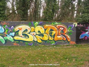 PoWeR BiSAR | "PoWeR" CWK ..RBK | ..'11...