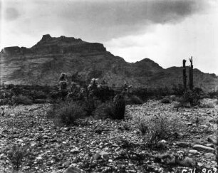 Mount McDowell : Der Mount McDowell bei Phoenix.