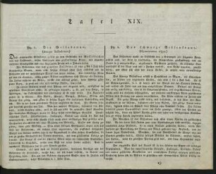 Tafel XIX.