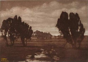 "Heidelandschaft"