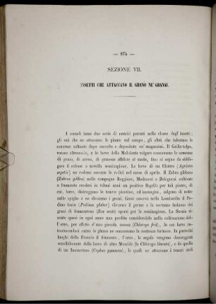 Sezione VII. Insetti Che Attaccano Il Grano Ne' Granai.