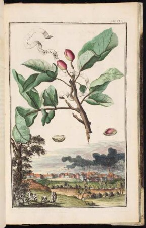 p. 242 Fürth. - Fürth (Bayern)