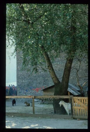 Diapositive: Adalbertstraße, Bethaniendamm, 1983