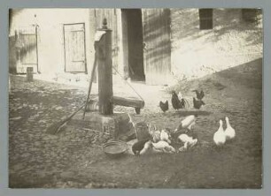 Morgens im Mühlhof in Taucha