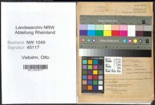 Entnazifizierung Otto Viebahn , geb. 19.01.1896 (Schaefer)