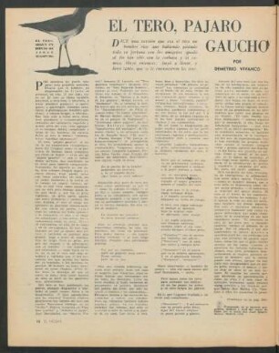 El tero, pajaro gaucho