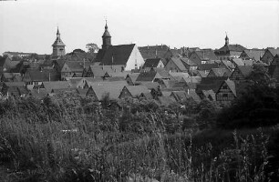 Marbach: Gesamtansicht der Stadt von Westen