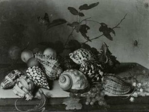 Muscheln und Früchte