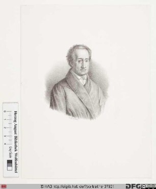 Bildnis Johann Wolfgang Goethe (1782 von)